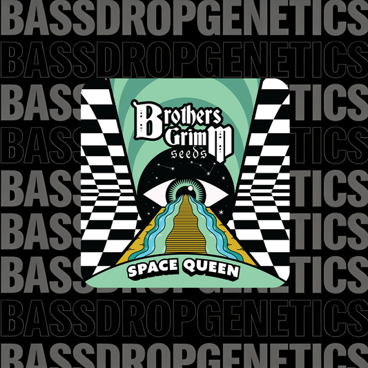 Space Queen image 2