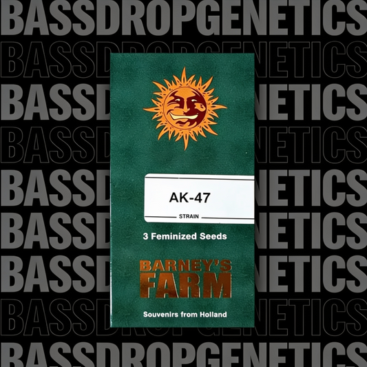 AK-47 image 3