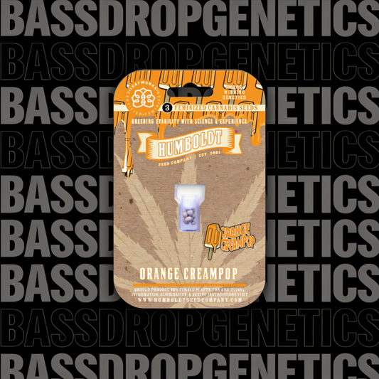 Orange Creampop image 3