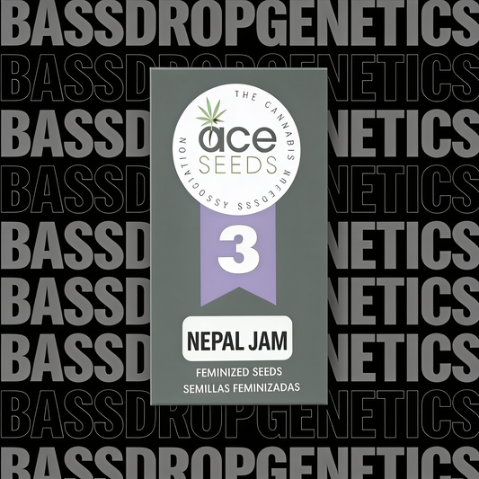 Nepal Jam image 3