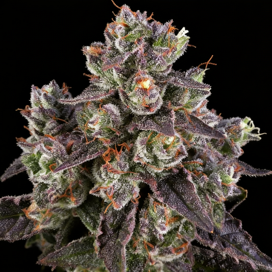 Candy Bubatz XL image 2