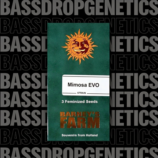 Mimosa EVO image 3