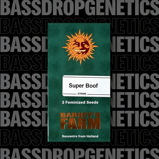Super Boof image 3