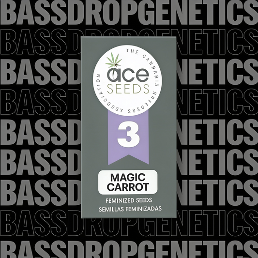 Magic Carrot image 3