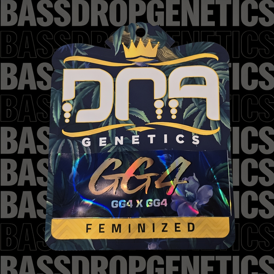 GG4 image 3