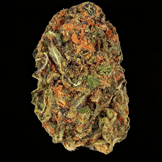 Acapulco Gold image 2